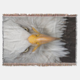 Bald Eagle Decke