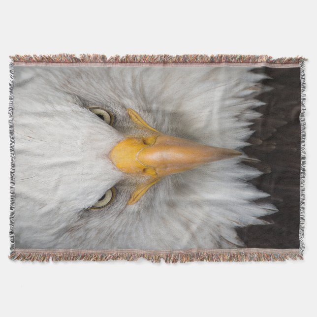 Bald Eagle Decke (Vorderseite)