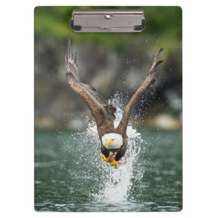 Bald Eagle Der große Fang Klemmbrett