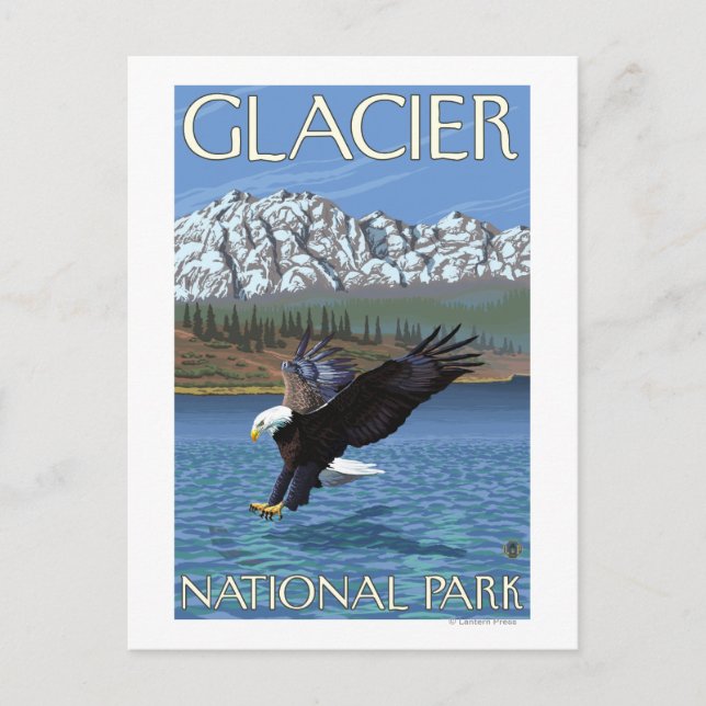 Bald Eagle Diving - Glacier National Park, MT Postkarte (Vorderseite)