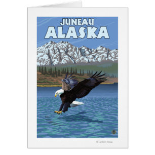 Bald Eagle Diving - Juneau, Alaska