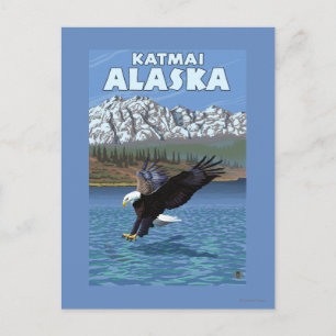 Bald Eagle Diving - Katmai, Alaska Postkarte