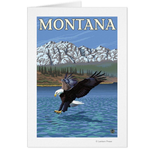 Bald Eagle Diving - Montana (Devant)