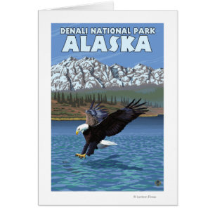 Bald Eagle Diving - Nationalpark Denali, Alaska