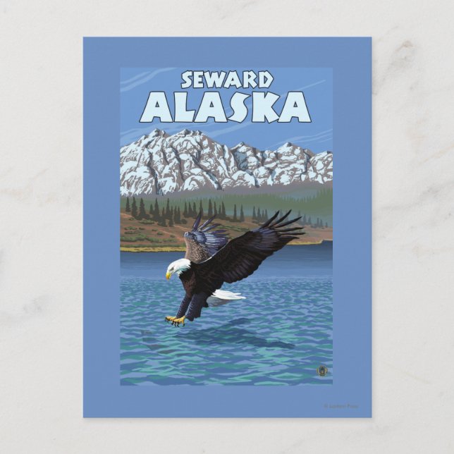 Bald Eagle Diving - Seward, Alaska Postkarte (Vorderseite)