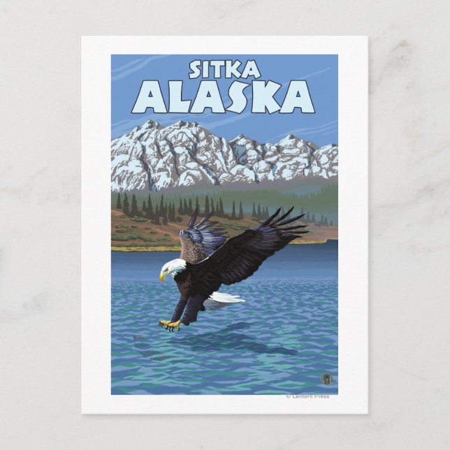 Bald Eagle Diving - Sitka, Alaska Postkarte (Vorderseite)