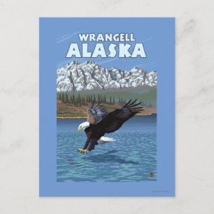 Bald Eagle Diving - Wrangell, Alaska Postkarte