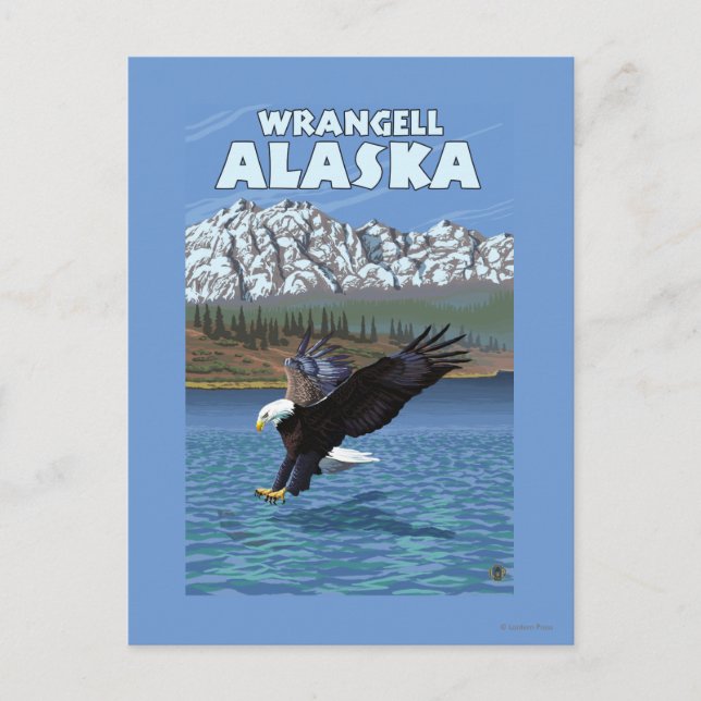 Bald Eagle Diving - Wrangell, Alaska Postkarte (Vorderseite)