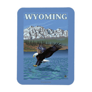 Bald Eagle Diving - Wyoming Magnet