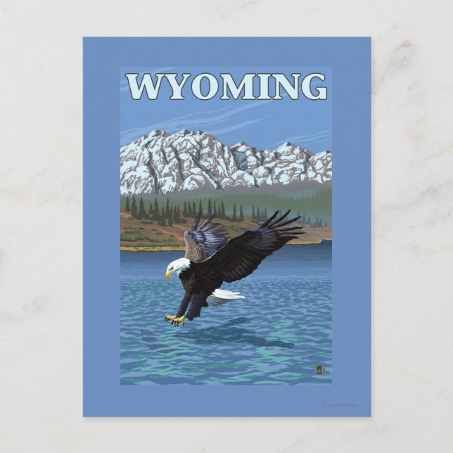 Bald Eagle Diving - Wyoming Postkarte (Vorderseite)