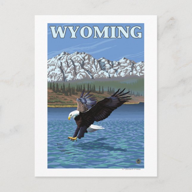 Bald Eagle Diving - Wyoming Postkarte (Vorderseite)