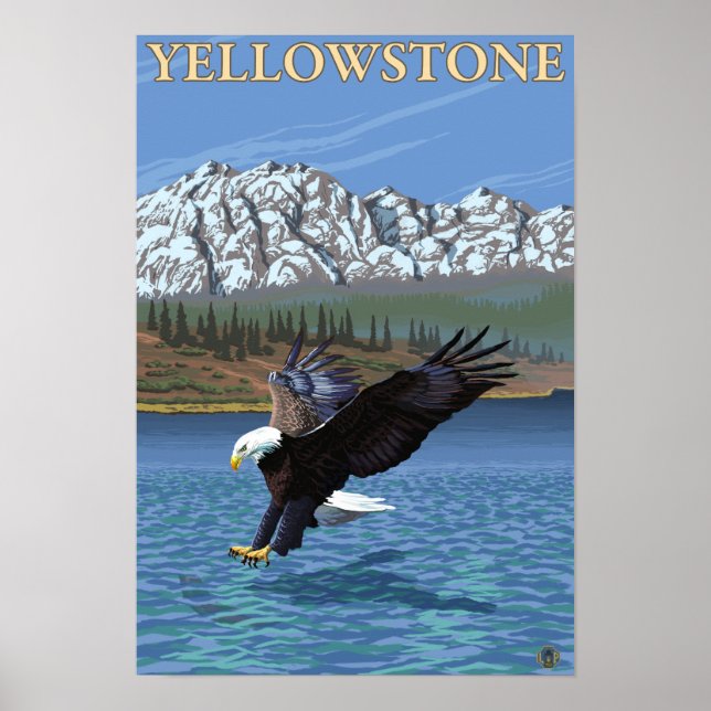 Bald Eagle Diving - Yellowstone National Park Poster (Vorne)