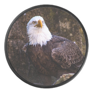Bald Eagle Eishockey Puck