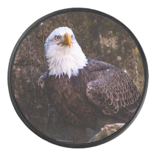 Bald Eagle Eishockey Puck (Vorderseite)