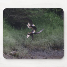 Bald Eagle Fight Mouse Pad