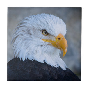 BALD EAGLE FLIESE
