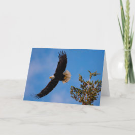 Bald Eagle Flight Danke Karte