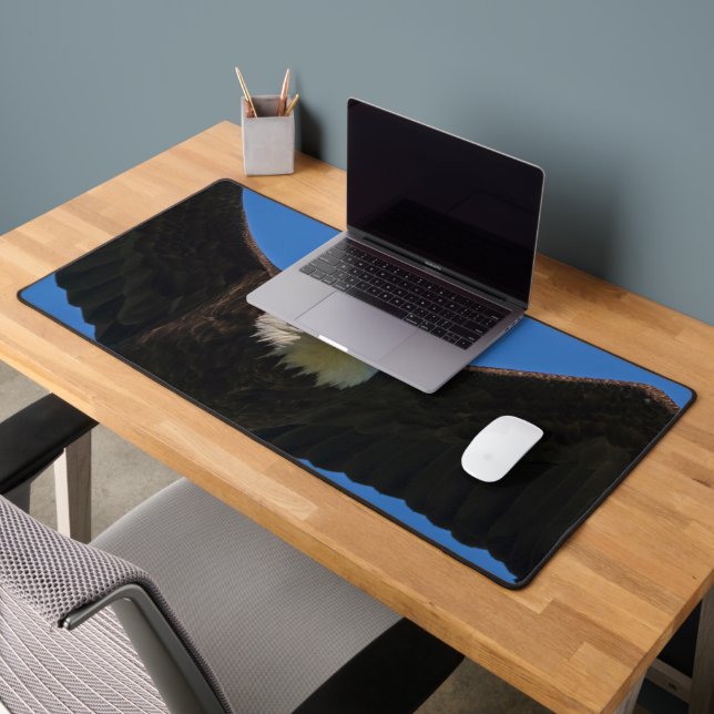 Bald Eagle Flyby Up Close (Bureau 2)