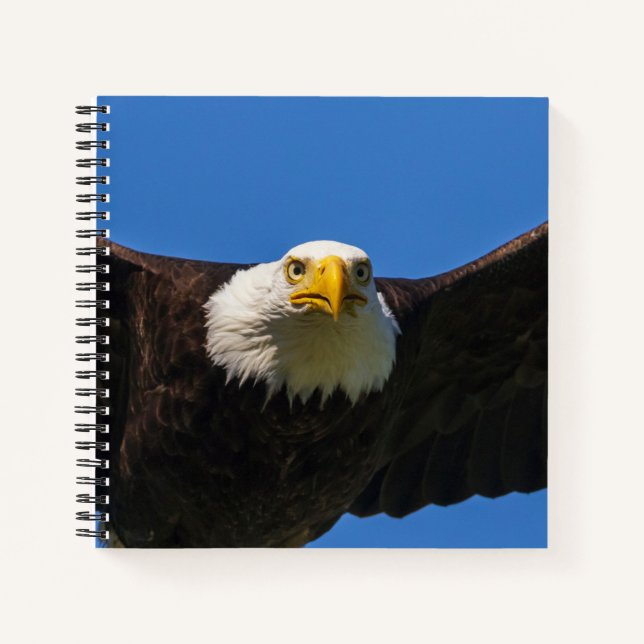 Bald Eagle Flyby Up Close Notizbuch (Vorderseite)