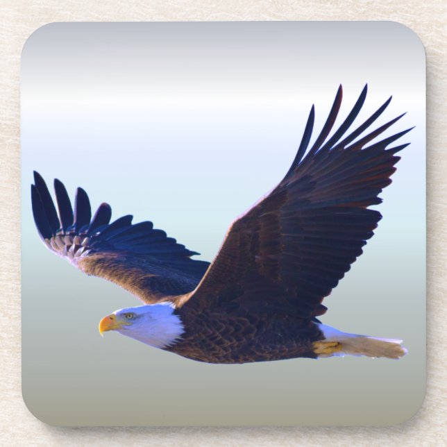 Bald Eagle Flying Getränkeuntersetzer (Vorderseite)