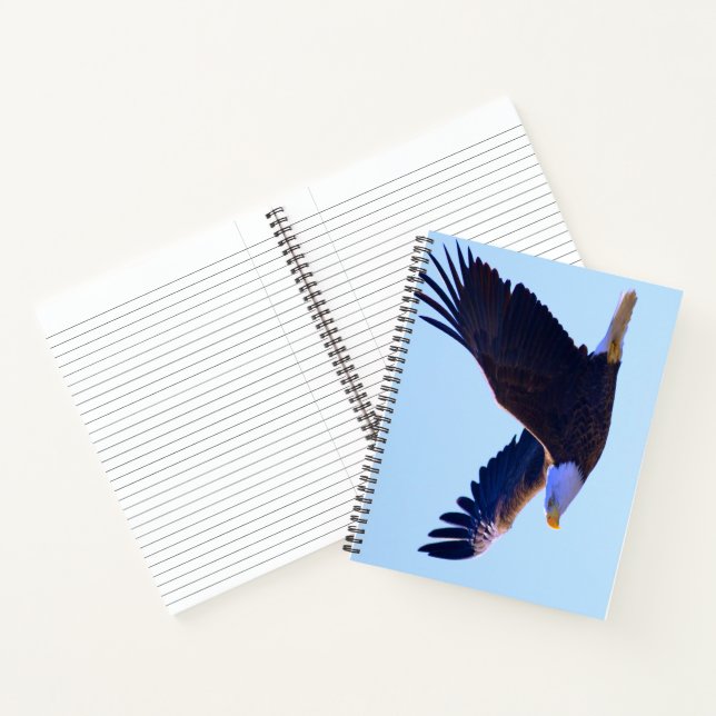 Bald Eagle Flying Notizbuch (Innenseite)