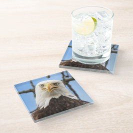 Bald Eagle Funny Face Wildlife Bird-Fotografie Glasuntersetzer