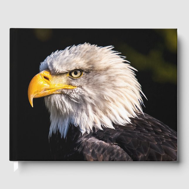 Bald Eagle Gästebuch (Vorderseite)