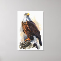 Bald Eagle Gemälde Canvas Print
