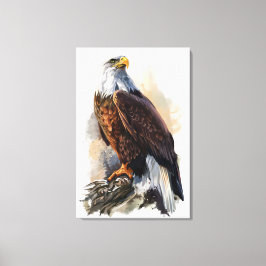 Bald Eagle Gemälde Canvas Print Leinwanddruck