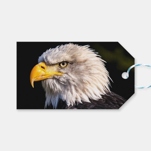Bald Eagle Geschenkanhänger (Vorderseite (Horizontal))