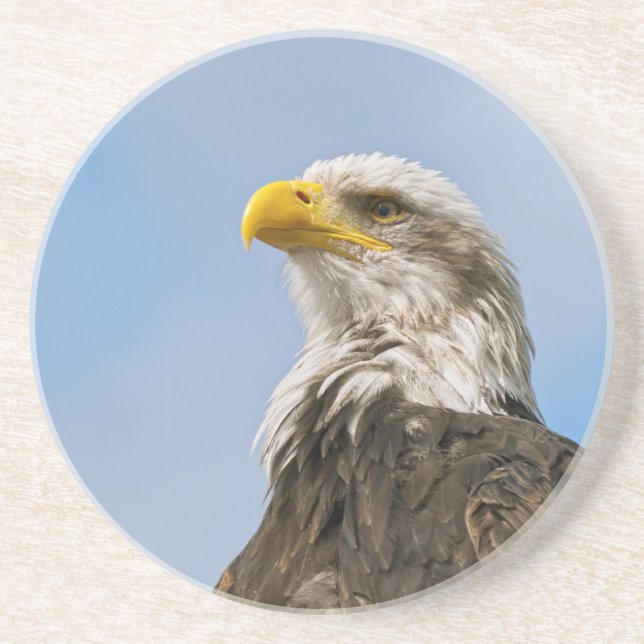Bald Eagle Getränkeuntersetzer (Vorne)