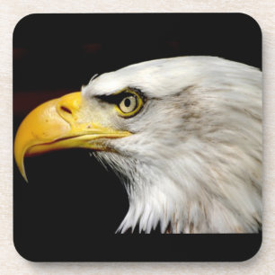 Bald Eagle Getränkeuntersetzer