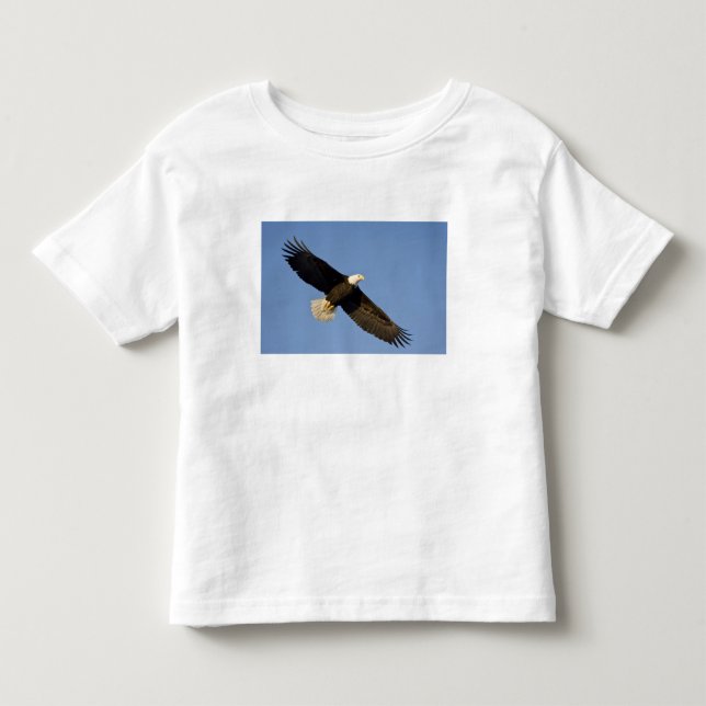Bald Eagle, Haliäetus leucocephalus, Homer, 4 Kleinkind T-shirt (Vorderseite)