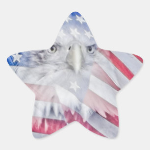 Bald Eagle Head & American Flag Stern-Aufkleber
