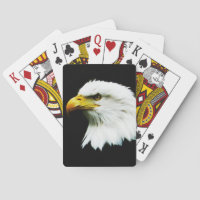 Bald Eagle Headshot Foto