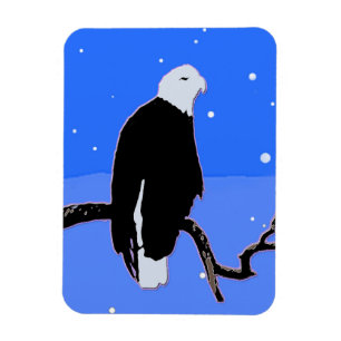Bald Eagle im Winter - Original Wildlife Art Magnet