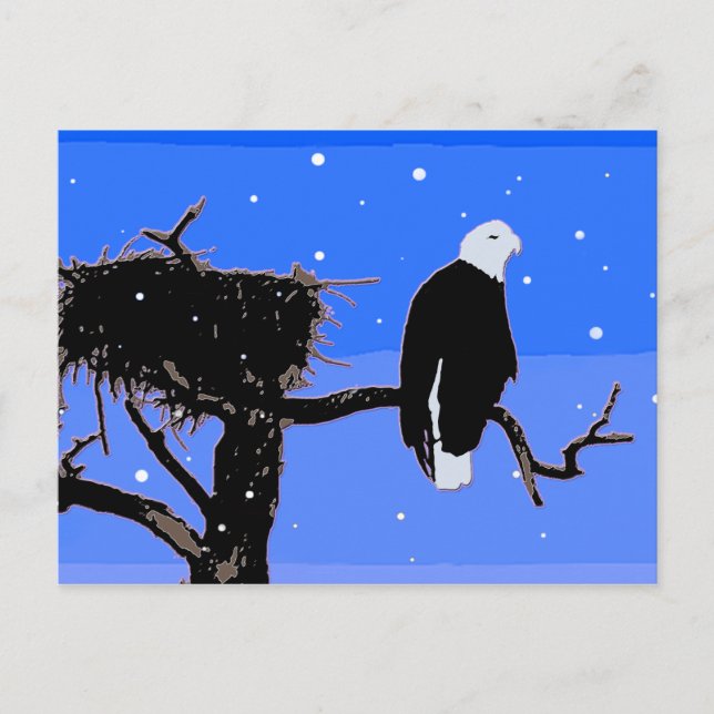 Bald Eagle im Winter - Original Wildlife Art Postkarte (Vorderseite)