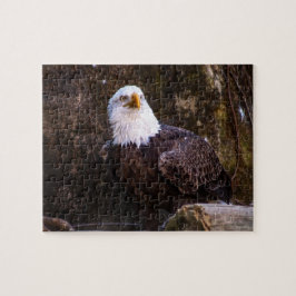 Bald Eagle Jigsaw Puzzle