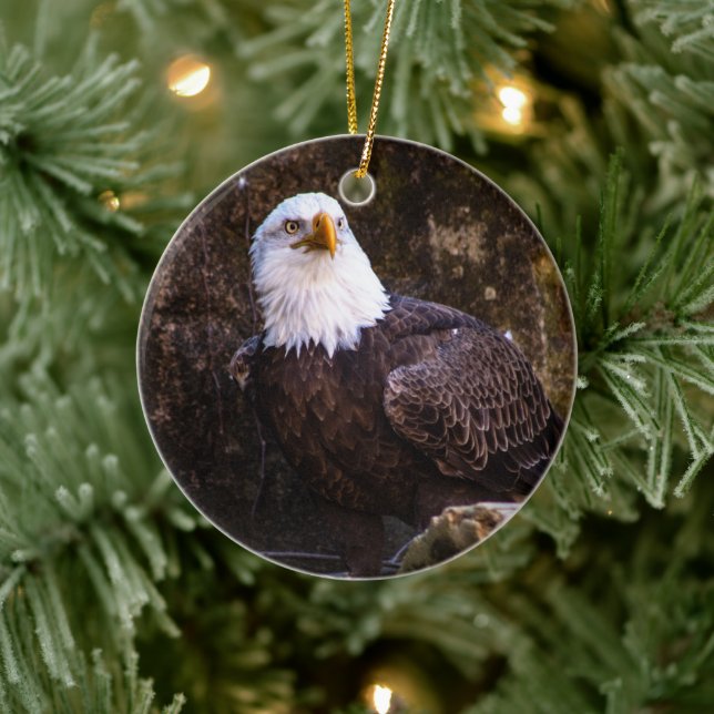 Bald Eagle Keramik Ornament (Baum)