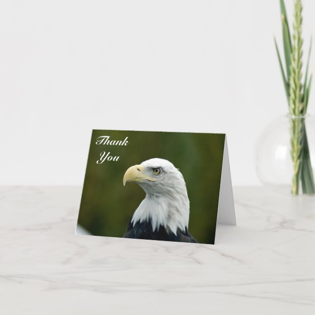 Bald Eagle Kopf Danke Note Card (Vorderseite)