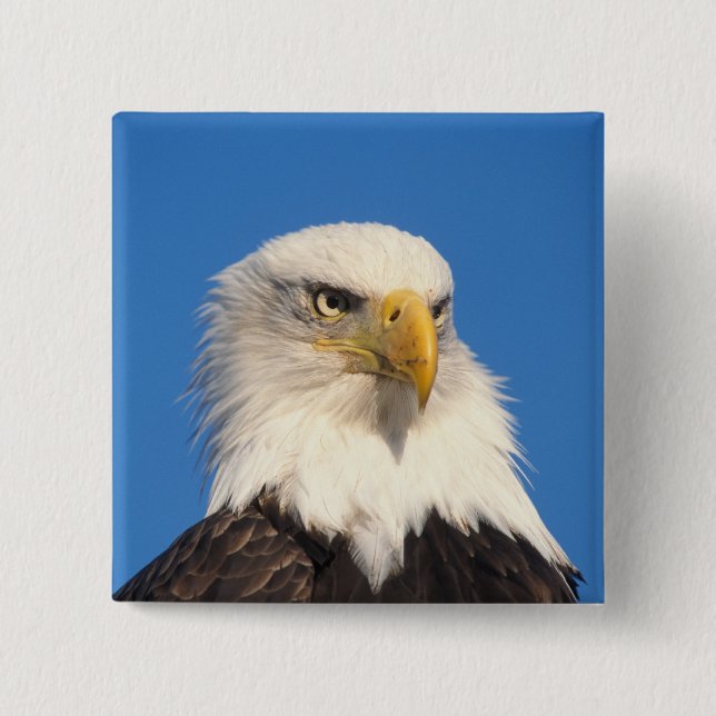 Bald Eagle Look Button (Vorderseite)