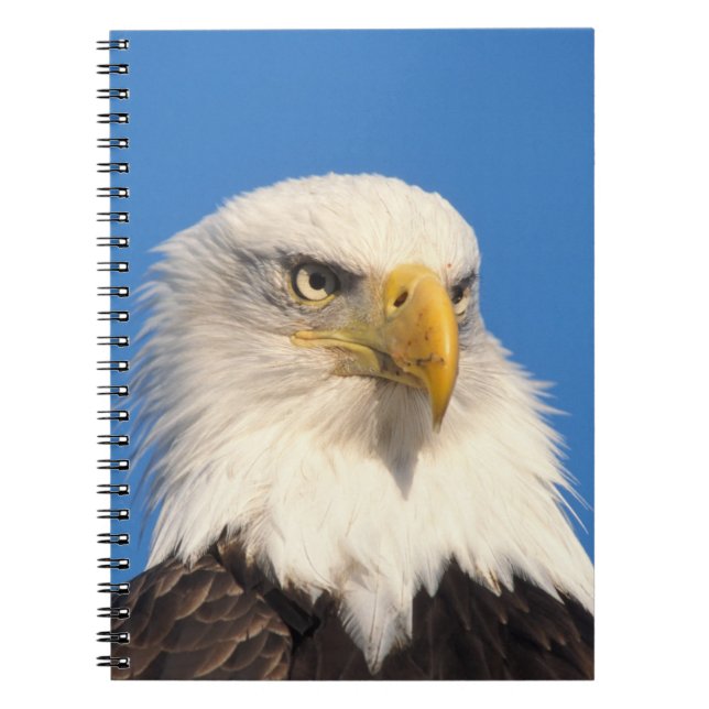 Bald Eagle Look Notizblock (Vorderseite)