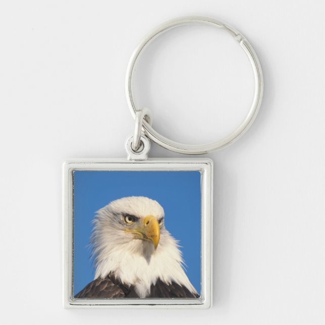 Bald Eagle Look Schlüsselanhänger (Vorne)