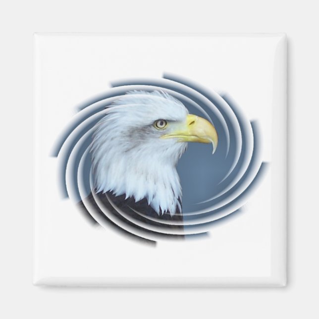 BALD EAGLE MAGNET (Vorne)