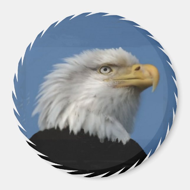BALD EAGLE - MAGNET (Vorne)