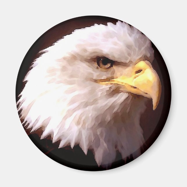 Bald Eagle Magnet (Vorne)