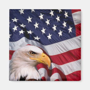 Bald Eagle mit amerikanischer Flagge Magnet