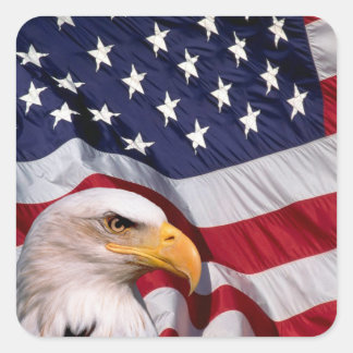 Bald Eagle mit amerikanischer Flagge Quadratischer Aufkleber