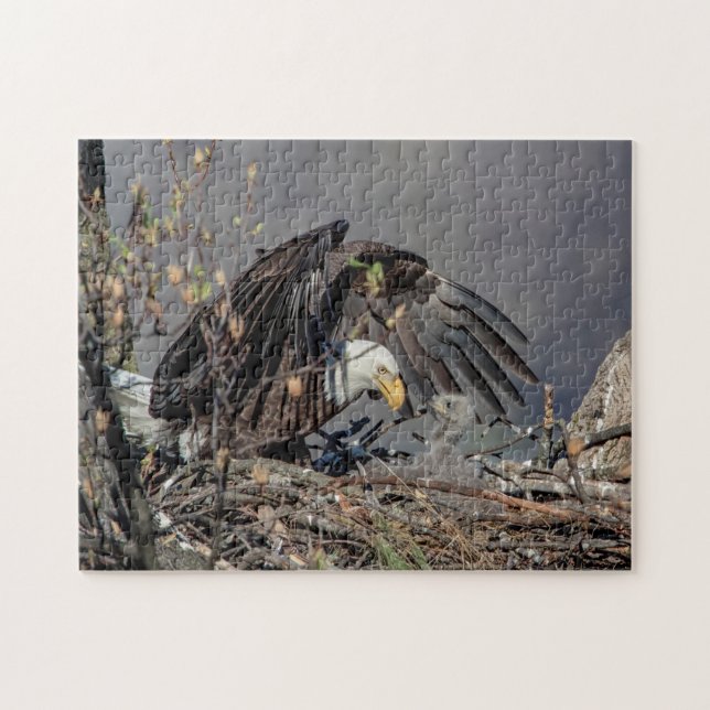 Bald Eagle mit ihrem Baby (Horizontal)