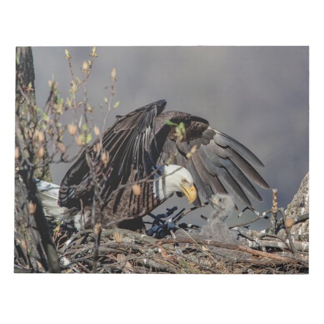 Bald Eagle mit ihrem Baby Notizblock (Vorderseite)